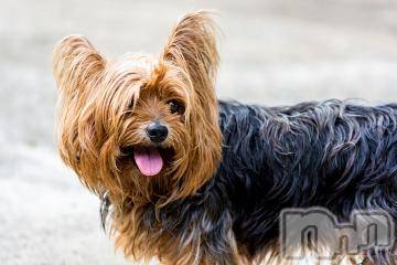 上越デリヘル 上越風俗出張アロママッサージ(ジョウエツフウゾクシュッチョウアロママッサージ) ゆずき☆(37)の7月30日写メブログ「ありがとうございました^ - ^」