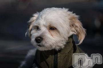 上越デリヘル 上越風俗出張アロママッサージ(ジョウエツフウゾクシュッチョウアロママッサージ) ゆずき☆(37)の7月31日写メブログ「ありがとうございました^ - ^」