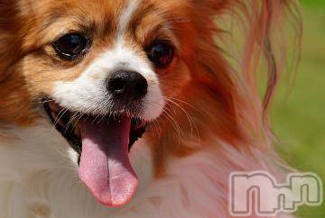 上越デリヘル 上越風俗出張アロママッサージ(ジョウエツフウゾクシュッチョウアロママッサージ) ゆずき☆(37)の8月7日写メブログ「ありがとうございました^ - ^」