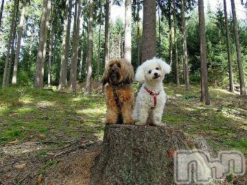 上越デリヘル 上越風俗出張アロママッサージ(ジョウエツフウゾクシュッチョウアロママッサージ) ゆずき☆(37)の8月7日写メブログ「ありがとうございました^ - ^」