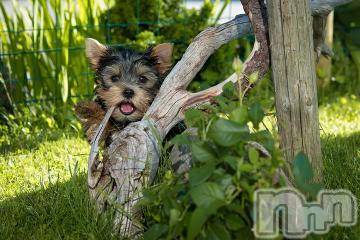 上越デリヘル 上越風俗出張アロママッサージ(ジョウエツフウゾクシュッチョウアロママッサージ) ゆずき☆(37)の8月19日写メブログ「ありがとうございました^ - ^」