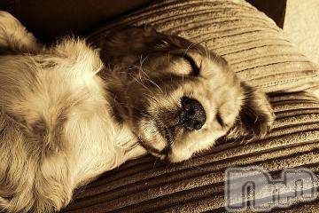 上越デリヘル 上越風俗出張アロママッサージ(ジョウエツフウゾクシュッチョウアロママッサージ) ゆずき☆(37)の8月19日写メブログ「ありがとうございました^ - ^」