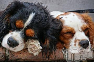 上越デリヘル 上越風俗出張アロママッサージ(ジョウエツフウゾクシュッチョウアロママッサージ) ゆずき☆(37)の8月20日写メブログ「ありがとうございました^ - ^」