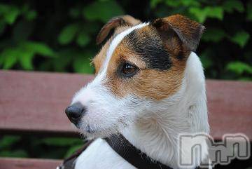 上越デリヘル 上越風俗出張アロママッサージ(ジョウエツフウゾクシュッチョウアロママッサージ) ゆずき☆(37)の8月20日写メブログ「ありがとうございました^ - ^」