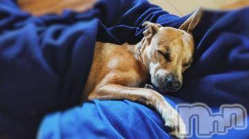 上越デリヘル 上越風俗出張アロママッサージ(ジョウエツフウゾクシュッチョウアロママッサージ) ゆずき☆(37)の9月8日写メブログ「ありがとうございました^ - ^」