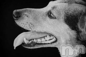 上越デリヘル 上越風俗出張アロママッサージ(ジョウエツフウゾクシュッチョウアロママッサージ) ゆずき☆(37)の9月8日写メブログ「ありがとうございました^ - ^」