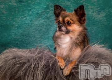 上越デリヘル 上越風俗出張アロママッサージ(ジョウエツフウゾクシュッチョウアロママッサージ) ゆずき☆(37)の9月8日写メブログ「ありがとうございました^ - ^」