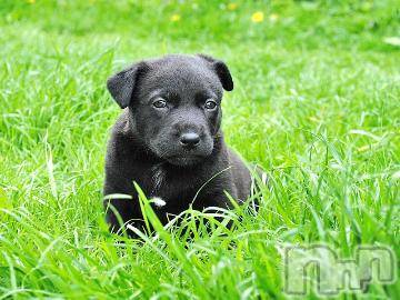 上越デリヘル 上越風俗出張アロママッサージ(ジョウエツフウゾクシュッチョウアロママッサージ) ゆずき☆(37)の9月12日写メブログ「ありがとうございました^ - ^」