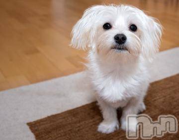 上越デリヘル 上越風俗出張アロママッサージ(ジョウエツフウゾクシュッチョウアロママッサージ) ゆずき☆(37)の9月23日写メブログ「ありがとうございました^ - ^」