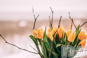 上越デリヘル 上越風俗出張アロママッサージ(ジョウエツフウゾクシュッチョウアロママッサージ) ゆずき☆(37)の10月7日写メブログ「ありがとうございました^ - ^」