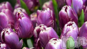 上越デリヘル 上越風俗出張アロママッサージ(ジョウエツフウゾクシュッチョウアロママッサージ) ゆずき☆(37)の10月7日写メブログ「ありがとうございました^ - ^」