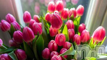 上越デリヘル 上越風俗出張アロママッサージ(ジョウエツフウゾクシュッチョウアロママッサージ) ゆずき☆(37)の10月23日写メブログ「ありがとうございました^ - ^かたを」