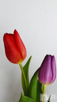 上越デリヘル 上越風俗出張アロママッサージ(ジョウエツフウゾクシュッチョウアロママッサージ) ゆずき☆(37)の10月27日写メブログ「ありがとうございました^ - ^」