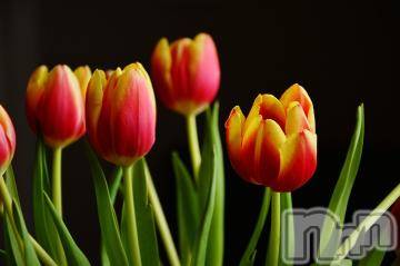 上越デリヘル 上越風俗出張アロママッサージ(ジョウエツフウゾクシュッチョウアロママッサージ) ゆずき☆(37)の11月10日写メブログ「ありがとうございました^ - ^」