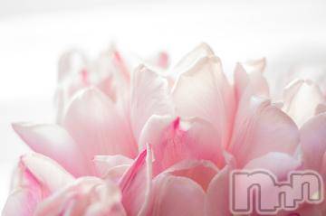 上越デリヘル 上越風俗出張アロママッサージ(ジョウエツフウゾクシュッチョウアロママッサージ) ゆずき☆(37)の11月11日写メブログ「ありがとうございました^ - ^」