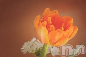 上越デリヘル 上越風俗出張アロママッサージ(ジョウエツフウゾクシュッチョウアロママッサージ) ゆずき☆(37)の11月11日写メブログ「ありがとうございました^ - ^」