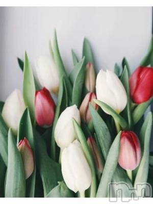 上越デリヘル 上越風俗出張アロママッサージ(ジョウエツフウゾクシュッチョウアロママッサージ) ゆずき☆(37)の11月11日写メブログ「ありがとうございました^ - ^」