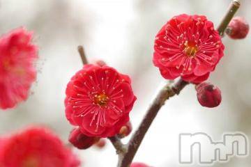 上越デリヘル 上越風俗出張アロママッサージ(ジョウエツフウゾクシュッチョウアロママッサージ) ゆずき☆(37)の12月28日写メブログ「ありがとうございました^ - ^」