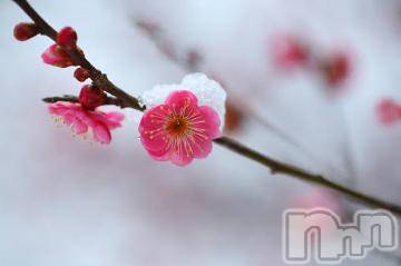 上越デリヘル 上越風俗出張アロママッサージ(ジョウエツフウゾクシュッチョウアロママッサージ) ゆずき☆(37)の12月28日写メブログ「ありがとうございました^ - ^」