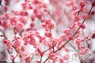 上越デリヘル 上越風俗出張アロママッサージ(ジョウエツフウゾクシュッチョウアロママッサージ) ゆずき☆(37)の12月30日写メブログ「ありがとうございました^ - ^」