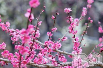 上越デリヘル 上越風俗出張アロママッサージ(ジョウエツフウゾクシュッチョウアロママッサージ) ゆずき☆(37)の1月8日写メブログ「ありがとうございました^ - ^」