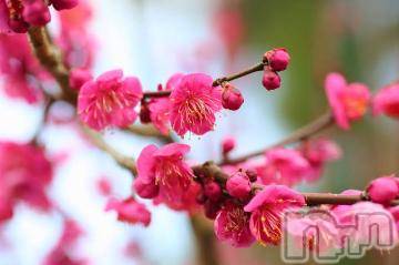 上越デリヘル 上越風俗出張アロママッサージ(ジョウエツフウゾクシュッチョウアロママッサージ) ゆずき☆(37)の1月11日写メブログ「ありがとうございました^ ^」