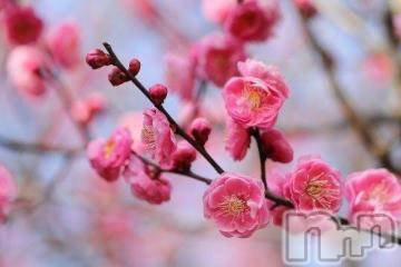 上越デリヘル 上越風俗出張アロママッサージ(ジョウエツフウゾクシュッチョウアロママッサージ) ゆずき☆(37)の1月11日写メブログ「ありがとうございました^ - ^」