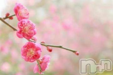 上越デリヘル 上越風俗出張アロママッサージ(ジョウエツフウゾクシュッチョウアロママッサージ) ゆずき☆(37)の1月12日写メブログ「ありがとうございました^ - ^」