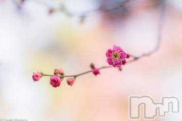 上越デリヘル 上越風俗出張アロママッサージ(ジョウエツフウゾクシュッチョウアロママッサージ) ゆずき☆(37)の1月19日写メブログ「ありがとうございました^ - ^」