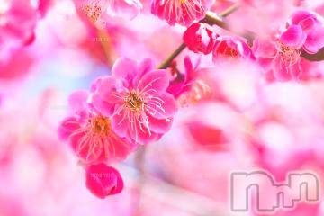 上越デリヘル 上越風俗出張アロママッサージ(ジョウエツフウゾクシュッチョウアロママッサージ) ゆずき☆(37)の1月20日写メブログ「ありがとうございました^ ^」