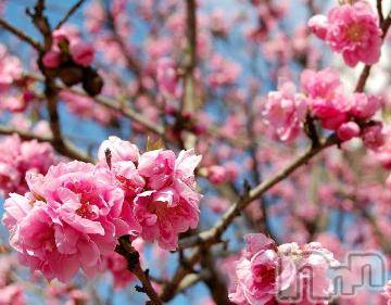 上越デリヘル 上越風俗出張アロママッサージ(ジョウエツフウゾクシュッチョウアロママッサージ) ゆずき☆(37)の1月20日写メブログ「ありがとうございました^ ^」