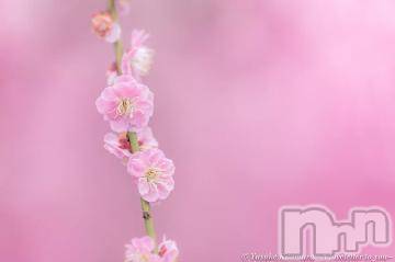 上越デリヘル 上越風俗出張アロママッサージ(ジョウエツフウゾクシュッチョウアロママッサージ) ゆずき☆(37)の1月22日写メブログ「ありがとうございました^ ^」