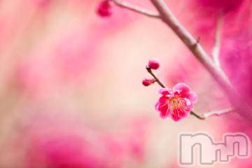 上越デリヘル 上越風俗出張アロママッサージ(ジョウエツフウゾクシュッチョウアロママッサージ) ゆずき☆(37)の1月22日写メブログ「ありがとうございました^ ^」