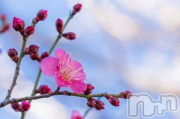 上越デリヘル 上越風俗出張アロママッサージ(ジョウエツフウゾクシュッチョウアロママッサージ) ゆずき☆(37)の1月23日写メブログ「ありがとうございました^ - ^」