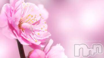 上越デリヘル 上越風俗出張アロママッサージ(ジョウエツフウゾクシュッチョウアロママッサージ) ゆずき☆(37)の2月1日写メブログ「ありがとうございました^ - ^」