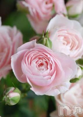 上越デリヘル 上越風俗出張アロママッサージ(ジョウエツフウゾクシュッチョウアロママッサージ) ゆずき☆(37)の2月2日写メブログ「ありがとうございました^ - ^」