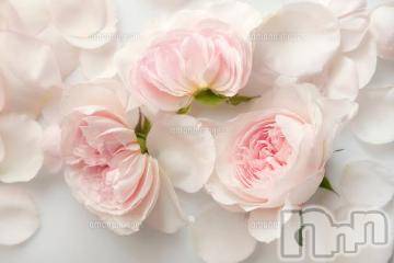 上越デリヘル 上越風俗出張アロママッサージ(ジョウエツフウゾクシュッチョウアロママッサージ) ゆずき☆(37)の2月14日写メブログ「ありがとうございました^ - ^」