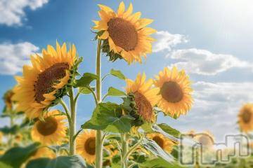 上越デリヘル 上越風俗出張アロママッサージ(ジョウエツフウゾクシュッチョウアロママッサージ) ゆずき☆(37)の2月27日写メブログ「雪だけど」