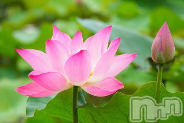 上越デリヘル 上越風俗出張アロママッサージ(ジョウエツフウゾクシュッチョウアロママッサージ) ゆずき☆(37)の3月17日写メブログ「本日も」