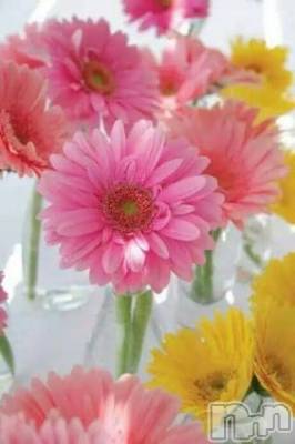 上越デリヘル 上越風俗出張アロママッサージ(ジョウエツフウゾクシュッチョウアロママッサージ) ゆずき☆(37)の3月17日写メブログ「ありがとうございました^ ^げんば」