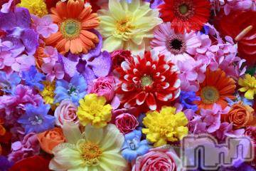 上越デリヘル 上越風俗出張アロママッサージ(ジョウエツフウゾクシュッチョウアロママッサージ) ゆずき☆(37)の4月1日写メブログ「ありがとうございました^ ^」