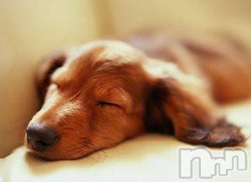 上越デリヘル 上越風俗出張アロママッサージ(ジョウエツフウゾクシュッチョウアロママッサージ) ゆずき☆(37)の4月21日写メブログ「ありがとうございました^ ^」