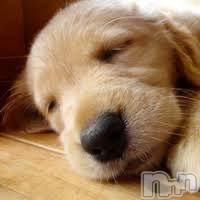 上越デリヘル 上越風俗出張アロママッサージ(ジョウエツフウゾクシュッチョウアロママッサージ) ゆずき☆(37)の5月2日写メブログ「ありがとうございました^ ^」