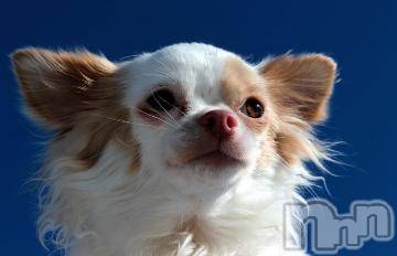 上越デリヘル 上越風俗出張アロママッサージ(ジョウエツフウゾクシュッチョウアロママッサージ) ゆずき☆(37)の5月3日写メブログ「ありがとうございました^ ^」