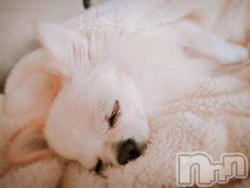 上越デリヘル 上越風俗出張アロママッサージ(ジョウエツフウゾクシュッチョウアロママッサージ) ゆずき☆(37)の5月22日写メブログ「ありがとうございました^ ^」