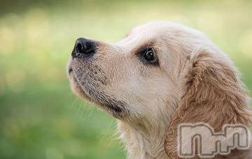 上越デリヘル 上越風俗出張アロママッサージ(ジョウエツフウゾクシュッチョウアロママッサージ) ゆずき☆(37)の5月22日写メブログ「ありがとうございました^ ^」