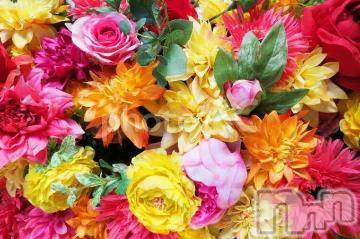 上越デリヘル 上越風俗出張アロママッサージ(ジョウエツフウゾクシュッチョウアロママッサージ) ゆずき☆(37)の6月7日写メブログ「ありがとうございました^ ^」