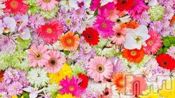 上越デリヘル 上越風俗出張アロママッサージ(ジョウエツフウゾクシュッチョウアロママッサージ) ゆずき☆(37)の6月7日写メブログ「ありがとうございました^ ^」