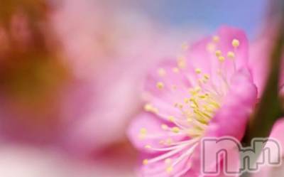 上越デリヘル 上越風俗出張アロママッサージ(ジョウエツフウゾクシュッチョウアロママッサージ) ゆずき☆(37)の1月29日写メブログ「雷」