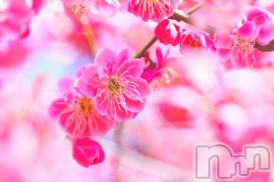 上越デリヘル 上越風俗出張アロママッサージ(ジョウエツフウゾクシュッチョウアロママッサージ) ゆずき☆(37)の2月1日写メブログ「気になる」